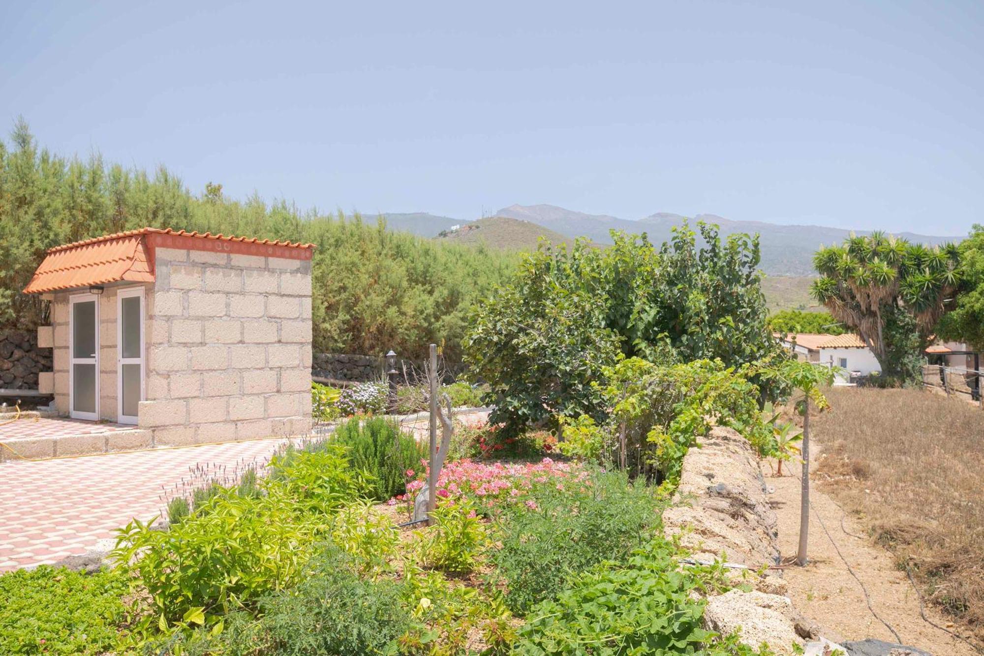 Casa Wayra Vila Granadilla De Abona Exterior foto